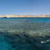 Tiran Island Boat Trip - Image 5