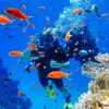 Tiran Island Boat Trip - Image 3