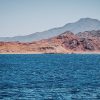 Tiran Island Boat Trip - Image 2